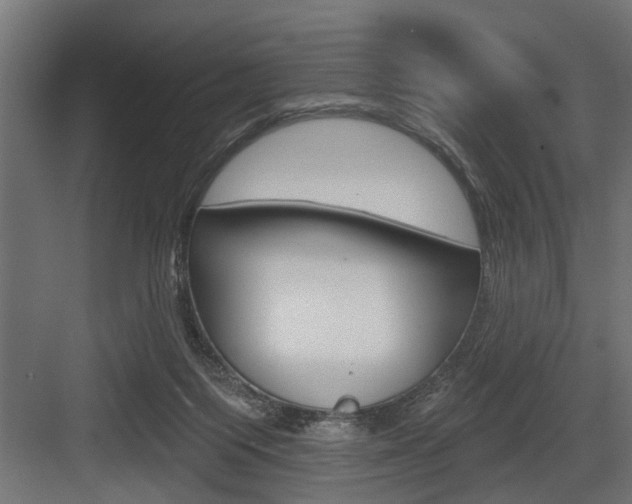 X0000083610119200702120734