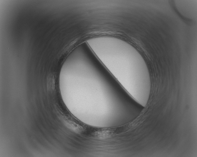 X0000083610120200702120733