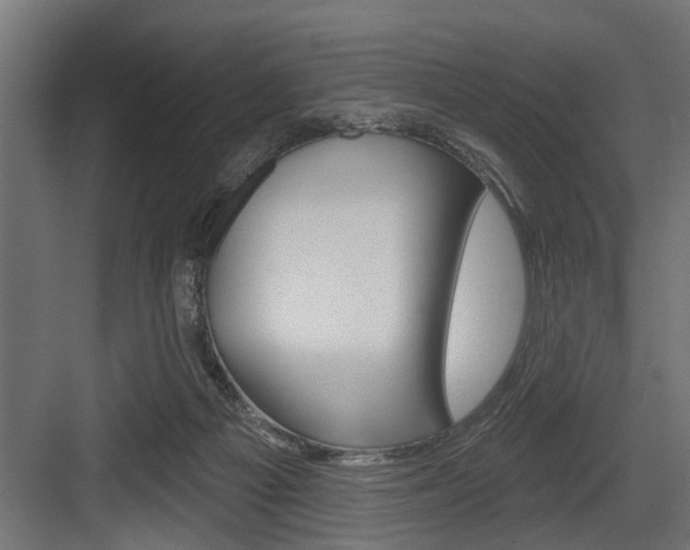 X0000083610121200702120733