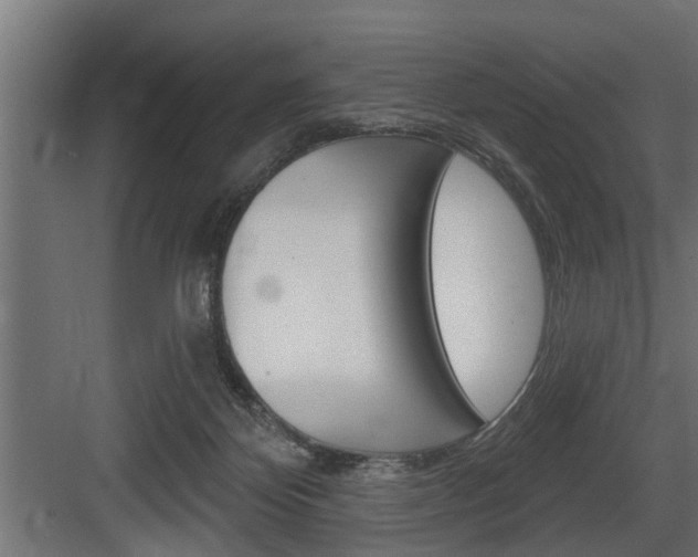 X0000083610124200702120733