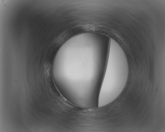 X0000083610125200702120733