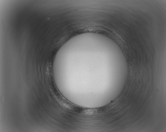 X0000083610126200702120733