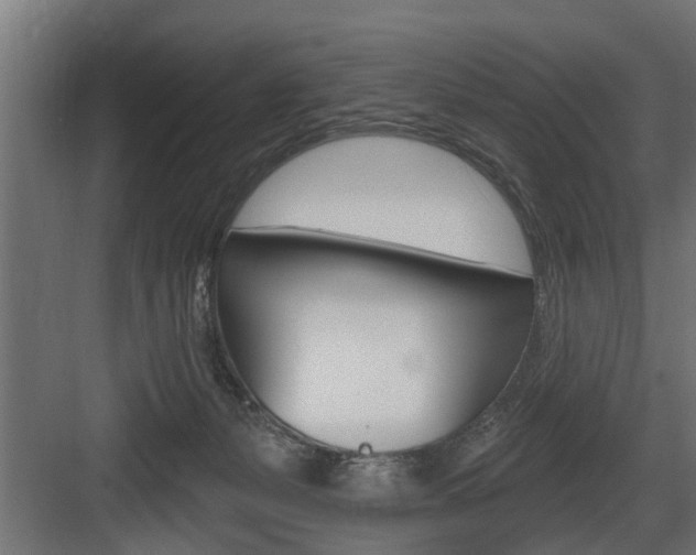 X0000083610127200702120733