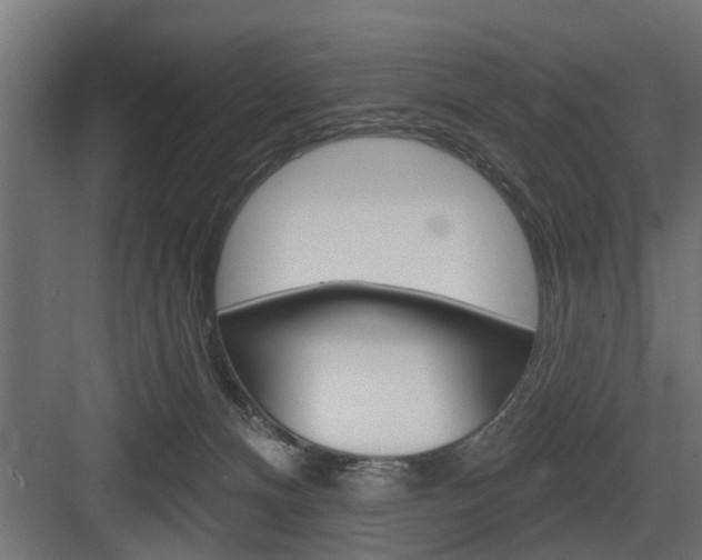 X0000083610128200702120733