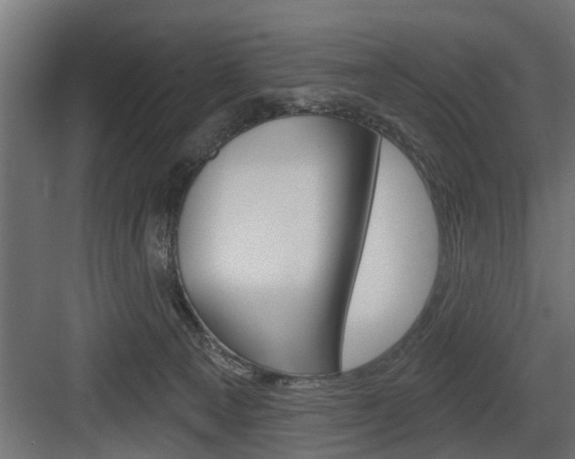 X0000083610129200702120733