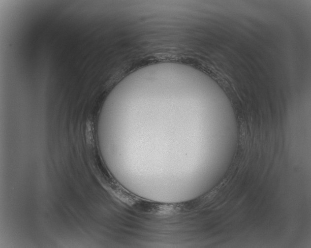 X0000083610130200702120733