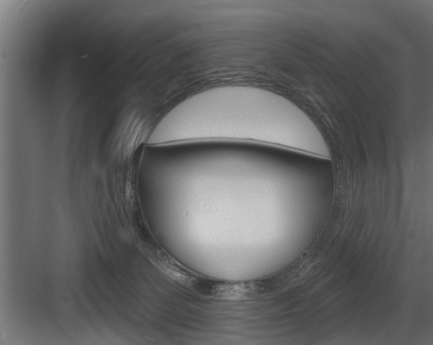 X0000083610131200702120733