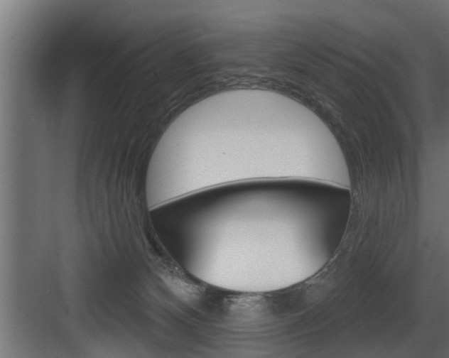 X0000083610132200702120733