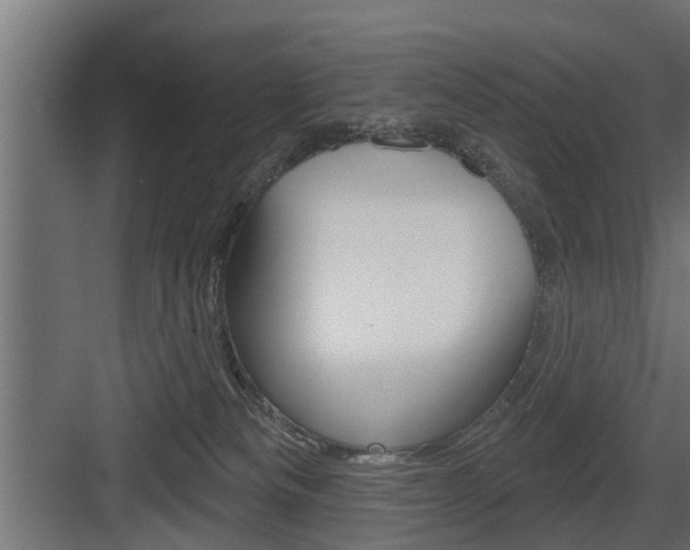 X0000083610133200702120733