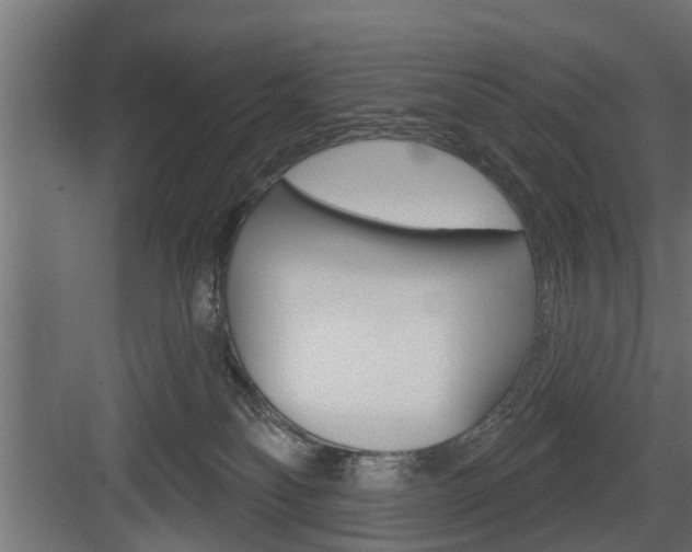 X0000083610134200702120733