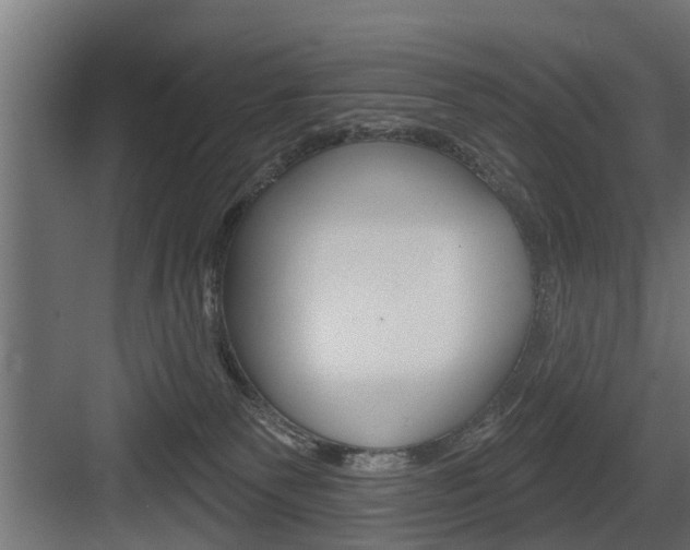 X0000083610135200702120733