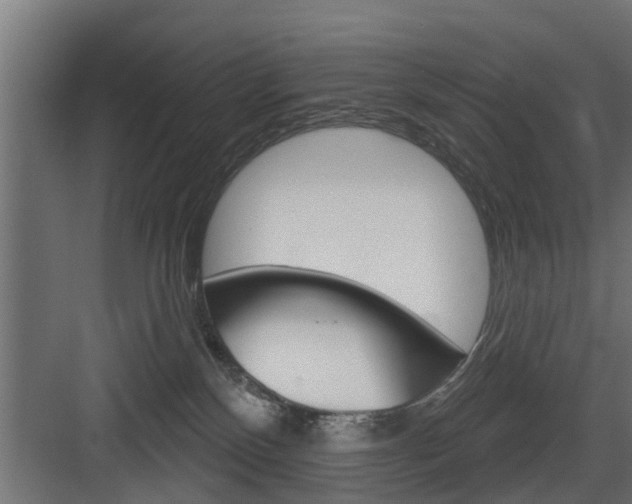 X0000083610136200702120733