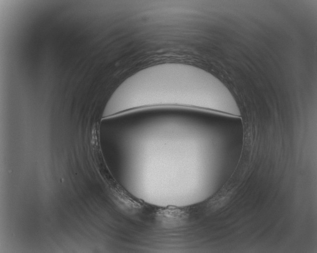 X0000083610137200702120733