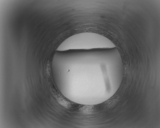 X0000083610138200702120733