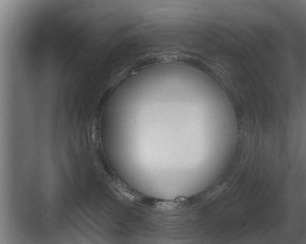 X0000083610139200702120733