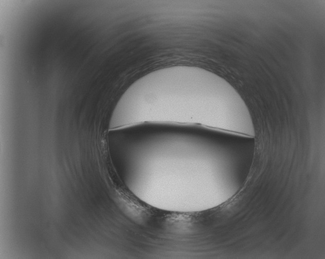 X0000083610140200702120733