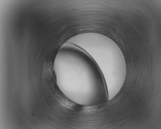 X0000083610141200702120733