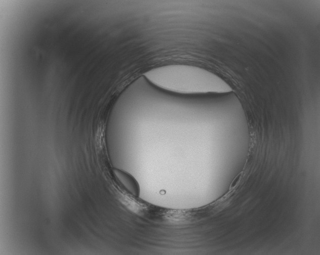 X0000083610142200702120733