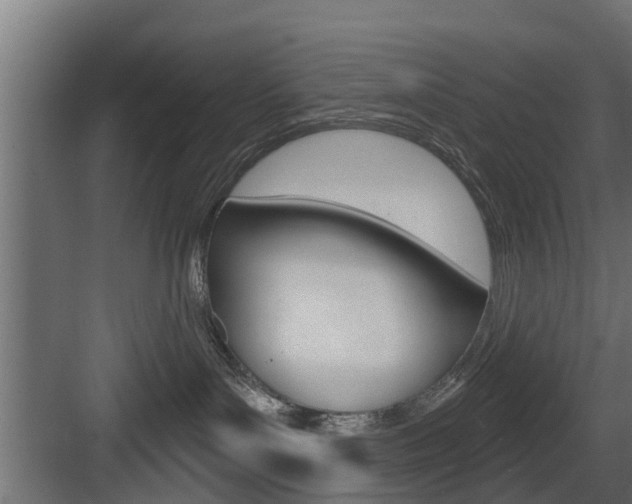 X0000083610143200702120733