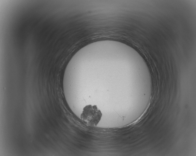 X0000083610144200702120733