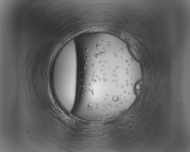 X0000083610145200702120732