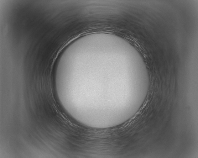 X0000083610146200702120732