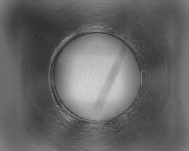 X0000083610147200702120732