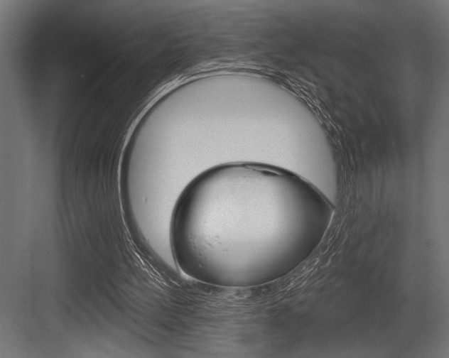 X0000083610148200702120732