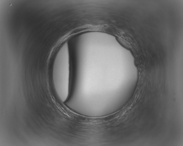 X0000083610149200702120732