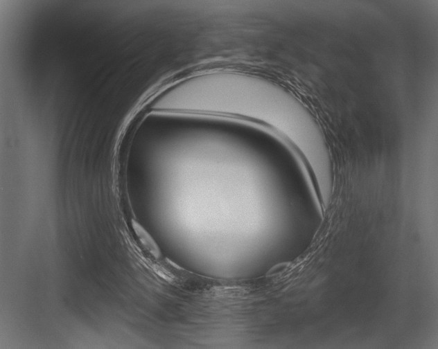 X0000083610150200702120732