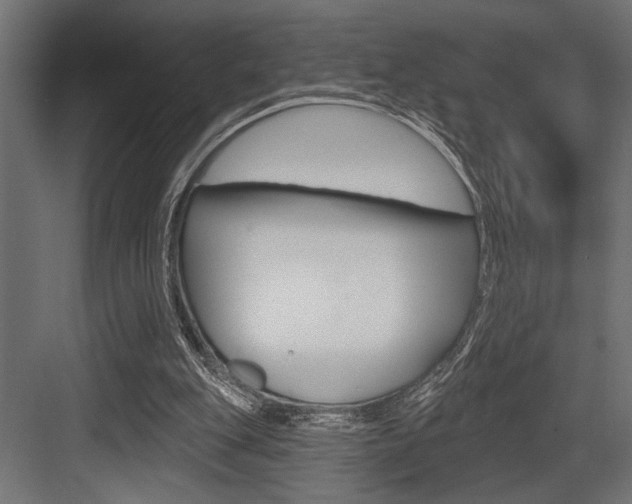 X0000083610151200702120732