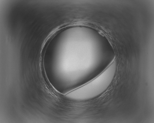 X0000083610152200702120732