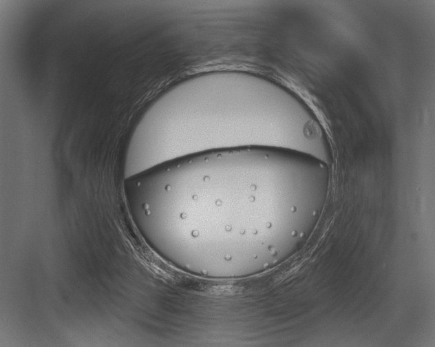 X0000083610153200702120732