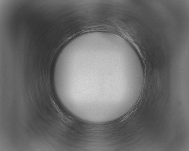 X0000083610154200702120732