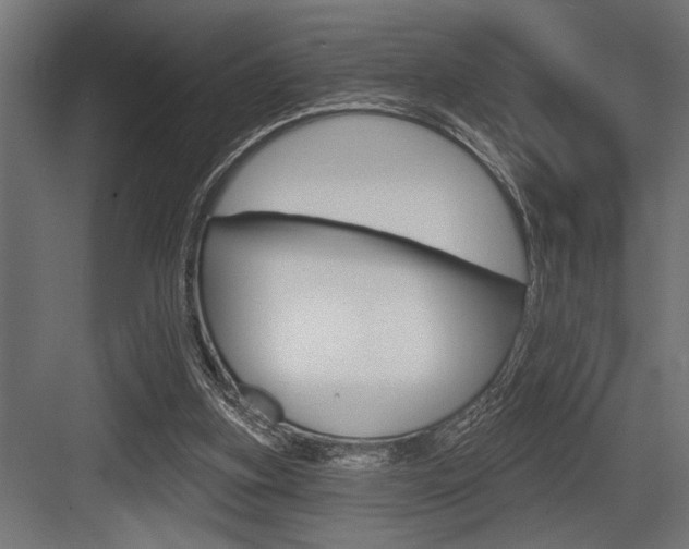 X0000083610155200702120732