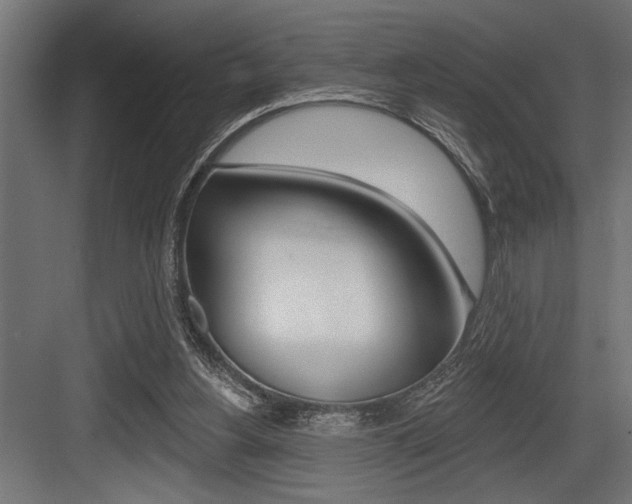 X0000083610156200702120732