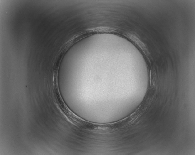 X0000083610157200702120732