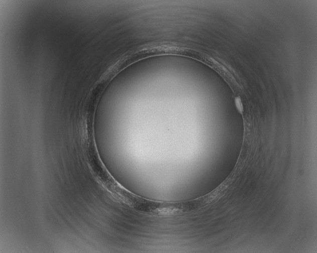 X0000083610158200702120733