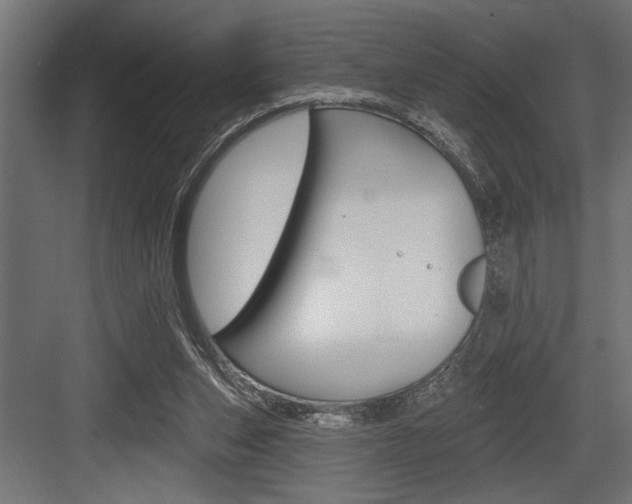 X0000083610159200702120733