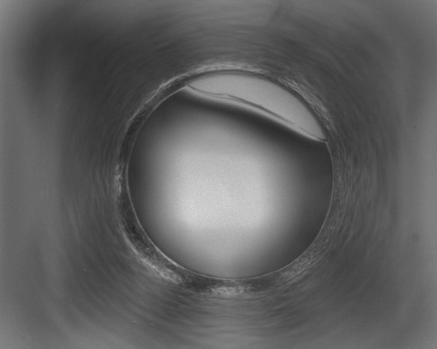 X0000083610160200702120733