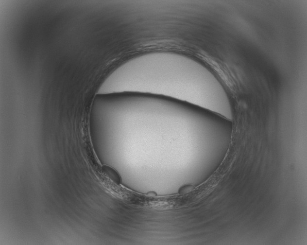 X0000083610161200702120733