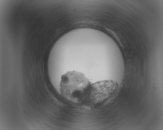 X0000083610162200702120733