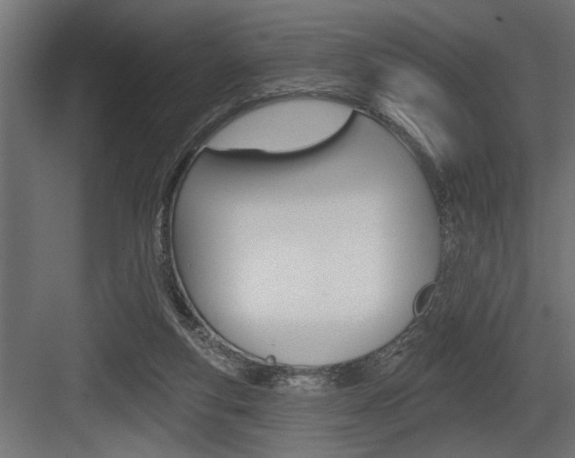 X0000083610163200702120733