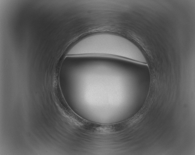 X0000083610164200702120733