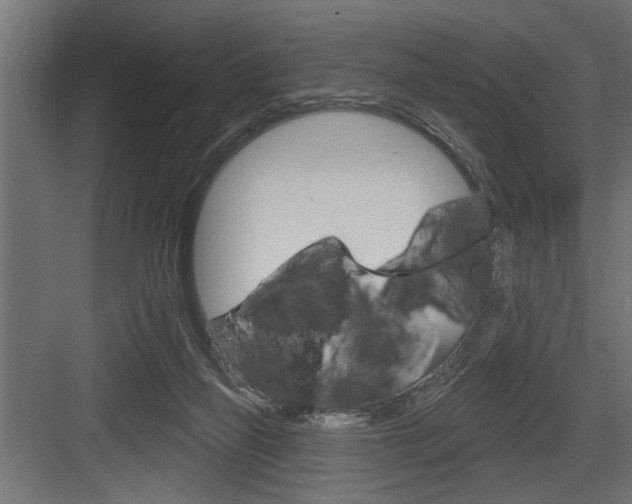 X0000083610165200702120733