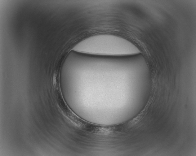 X0000083610166200702120733