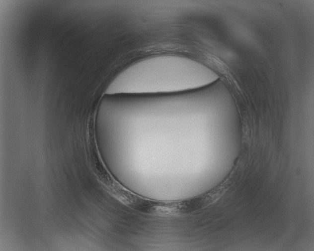 X0000083610167200702120733