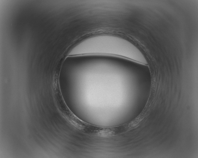 X0000083610168200702120733