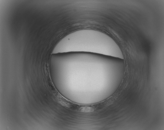 X0000083610169200702120733