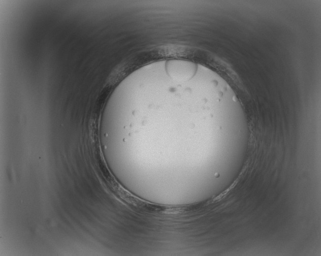 X0000083610171200702120733